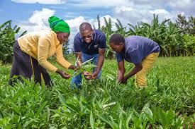 Agriculture & Farming