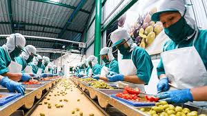 Food Processing
